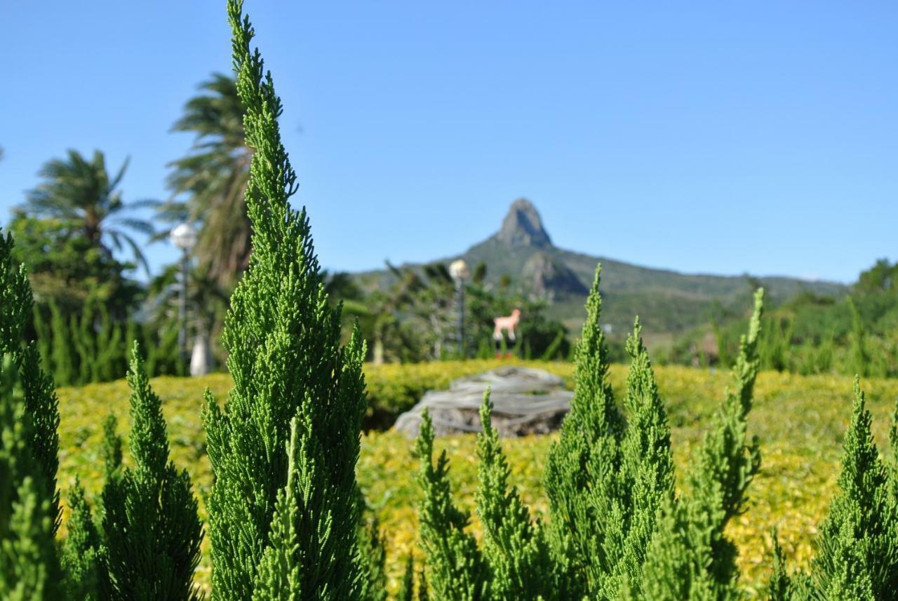 ฮาวาร์ด บีช รีสอร์ท เขิ่นติง ภายนอก รูปภาพ View of Pico do Papagaio